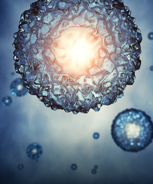 冷凍保種與復蘇